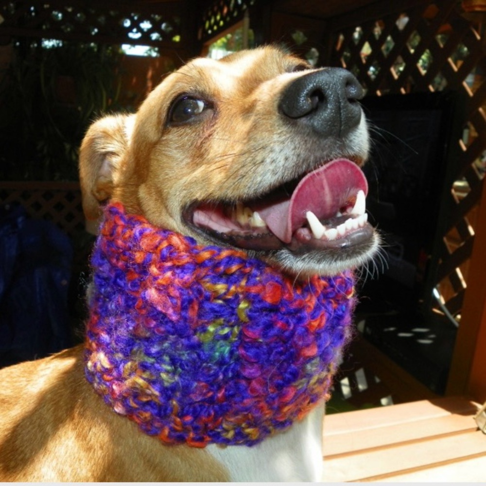 Dog Cowl Scarf  Handmade Size S-M